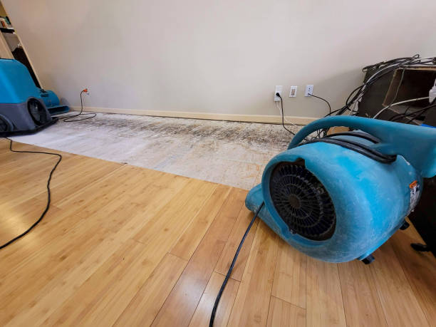 Professional Emergency Water Damage technician working in Rosebush, MI